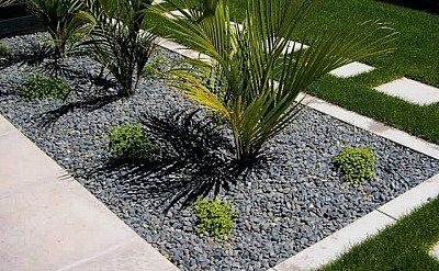 Proyecto de jardinería